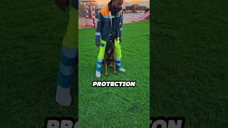 Famous $5000 Dog vs $5 Dog: Who Wins #dogtraining #protectiondog Net Worth