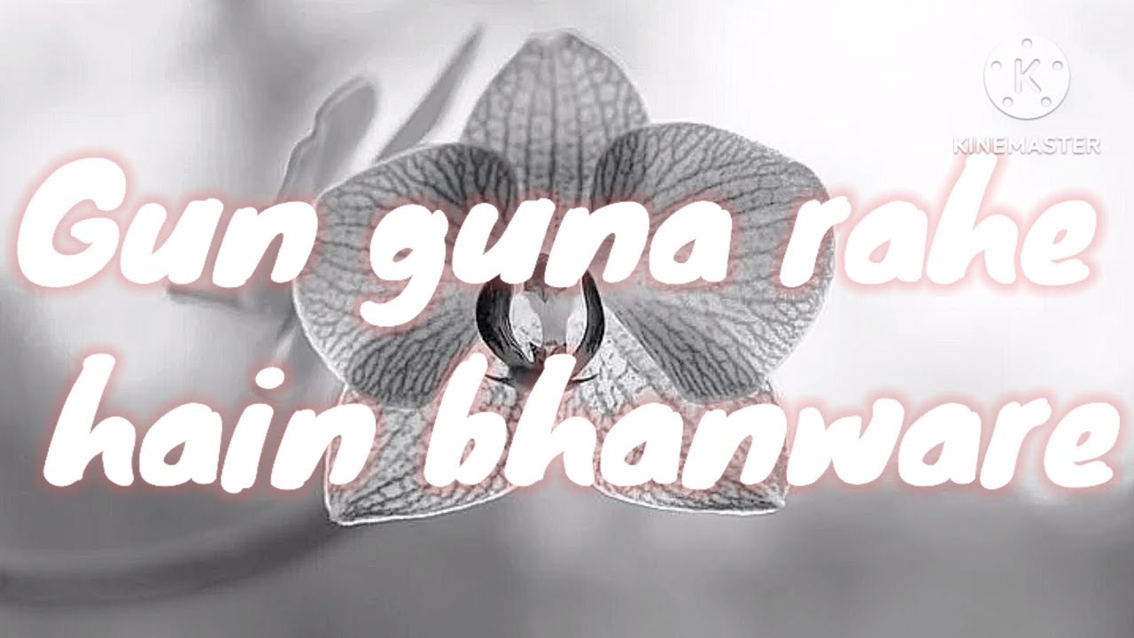 Gun guna rahe hain Bhaware Kali Kali , Song With lyrics YouTube