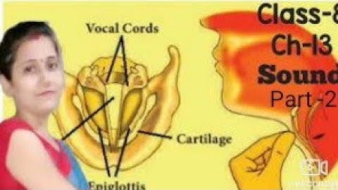 Sound/ Class 8 Science cbse/NCERT Science Class 8 Ch 13/Part-2