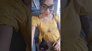 Life & Cat Update...Sorry For Being A Turtle lol