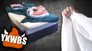 Celebrity You Know What’s BS!? Bed Sheets Net Worth