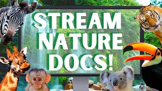 Best Places to Stream Nature Documentaries 🌎