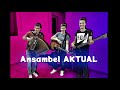 Ansambel aktual 4500 live music