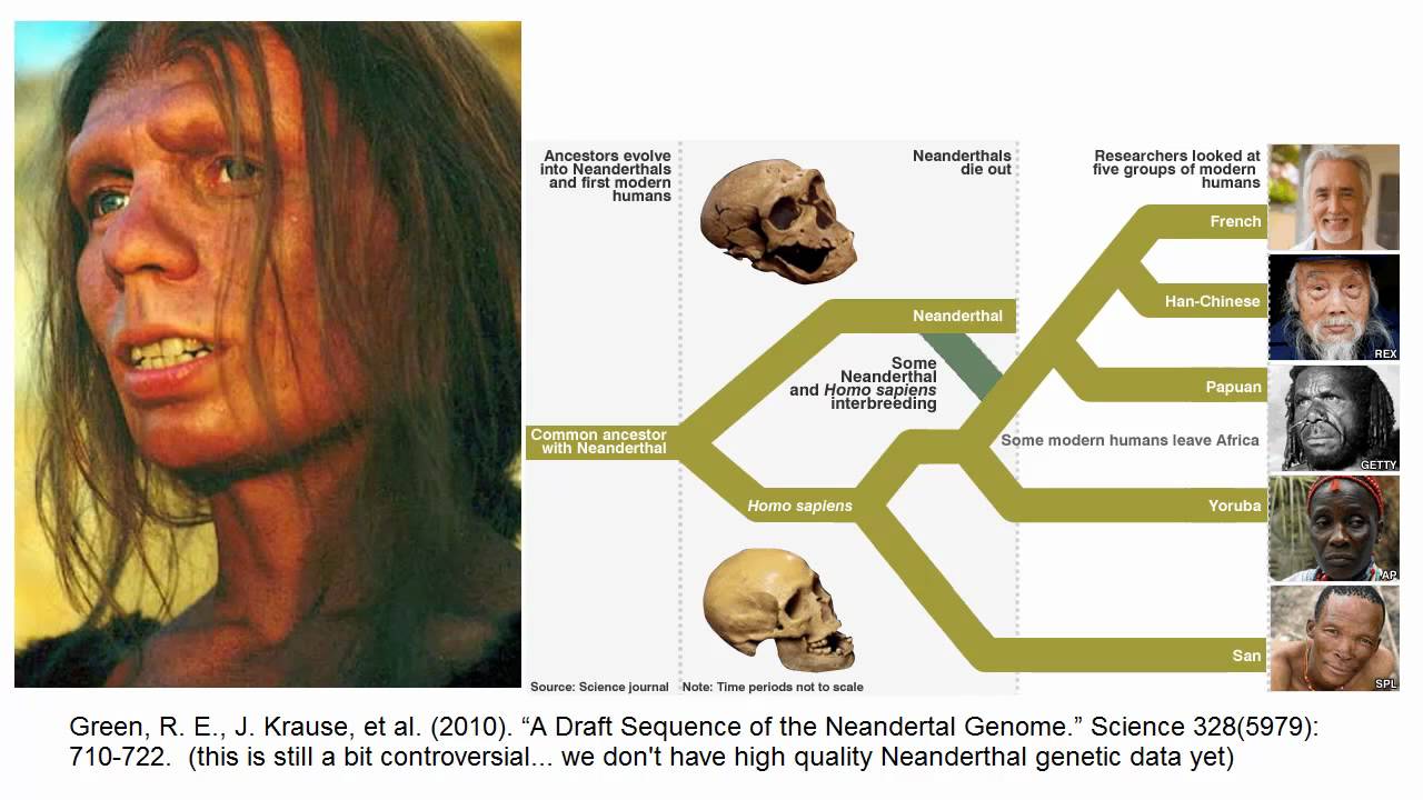 The Science of Human Race, Part 2