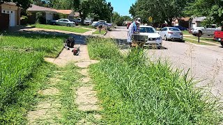 WE RISK Literally EVERYTHING while TRANSFORMING this OVERGROWN EYESORE