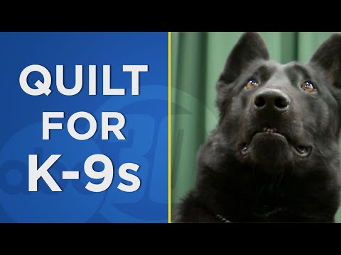 Video: Wanita Mewujudkan Quilt Memorial Yang Menakjubkan Dengan Tudung Anjingnya Yang Terpilih