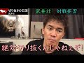 【武井壮】※これ、切り抜いたらリアル、マジで倒す（激怒）※俳優「竹野内豊」の倒し方・入間みちおを倒す百獣の王。絶対見るな、絶対クリックするなよ【イチケイのカラス必見】【月９ライブ切り抜き王国】