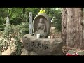 四国霊場八十八ヶ所　第46番　浄瑠璃寺