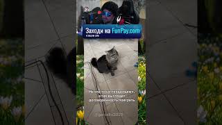 twitch.tv/neonpsh - розыгрыши и турниры каждый месяц!