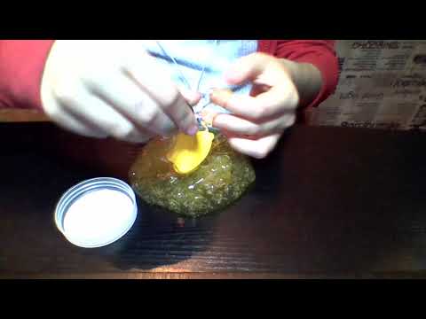 ჩემი ტყლარწები