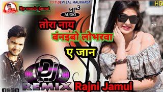 Tora_Naa_Banebo_Loverwa_Ye_Jaan__%E0%A4%86_%E0%A4%97%E0%A4%AF%E0%A4%BE_%23Aashish_Yadav__%E%A4(720p)
