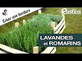 Comment planter une bordure de lavandes et romarins