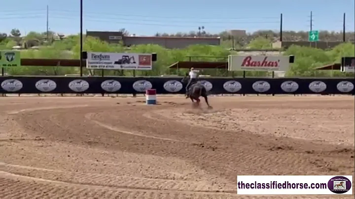 April 14th, 2022/Winning Barrel Run/Wickenburg, AZ...