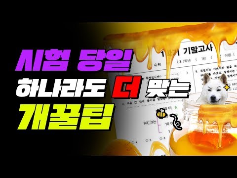 시험 잘 보는 법 TOP5 (꼭 시험 직전에 봐라)