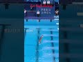 Cat high diving#shorts #cat