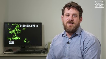 Imaging Neuronal Plasticity with Super Resolution and Light Sheet Microscopy