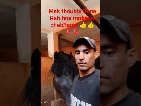 Malk Tbounbi 3lina Rah Hna Mn Bakri Chab3anin