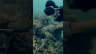 Why is Compression Diving banned?