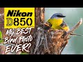 Nikon D850 | Bird Photography In Spring | Australia