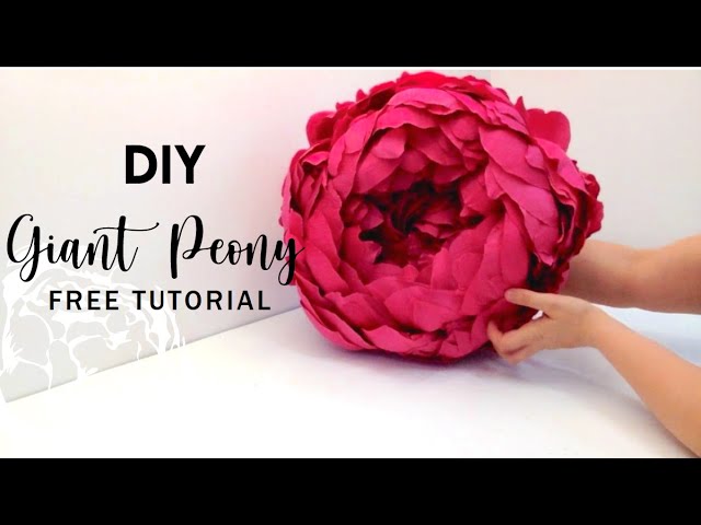 Large Tissue Paper Peony Flowers