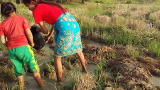 Amazing fishing at Battambang - people fishing in Cambodia - How to Catches fish (Part 37)