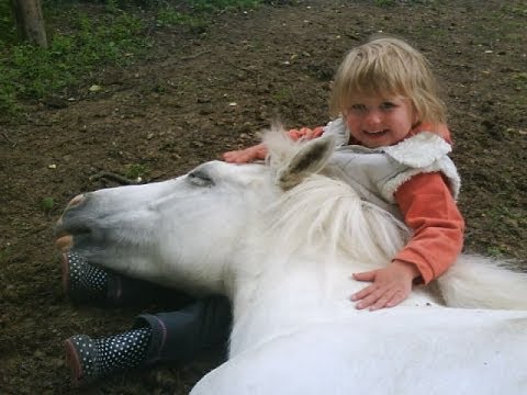 3 years old girl riding pony