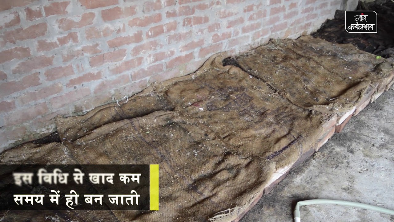 employment news tamilnadu देखिए वर्मी खाद बनाने का सबसे आसान तरीका II The easy and fast way to harvest Vermicompost