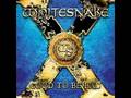 Whitesnake good to be bad