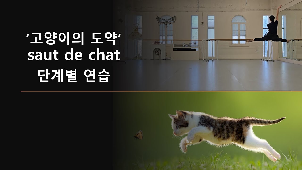 발레용어사전_56. saut de chat 쏘드샤 (톰베파드부레 그랑줴떼 연습)