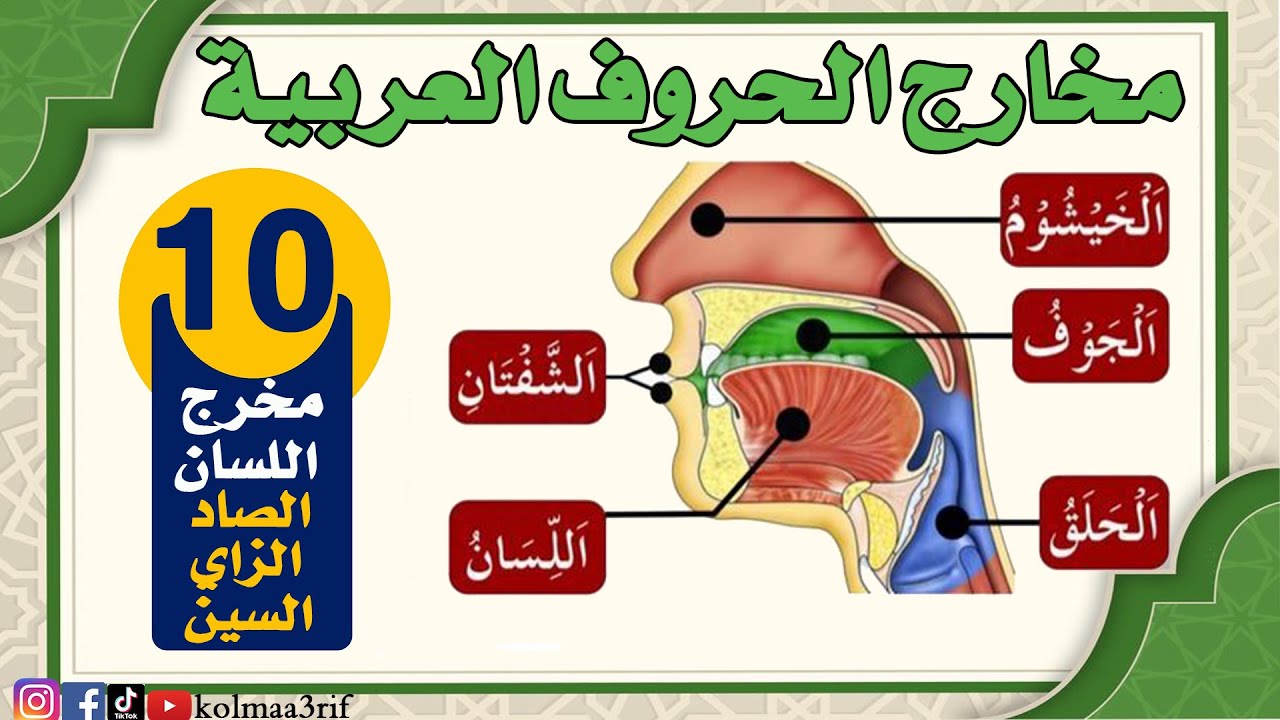 التجويد: مخارج الحروف (اللسان) الصاد والزاي والسين