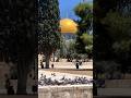 Palestine palestinyon ki shahadat par kalaam status short baitulmuqadds alaqsa masjideaqsa