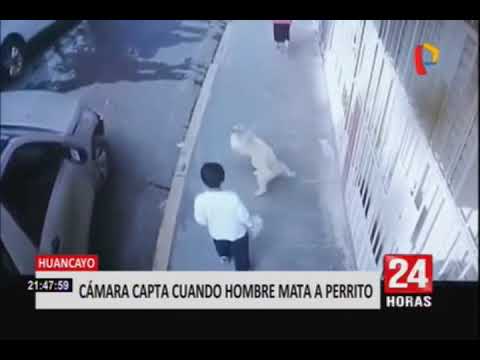 Huancayo: hombre mata a cachorro tras lanzarlo por los aires