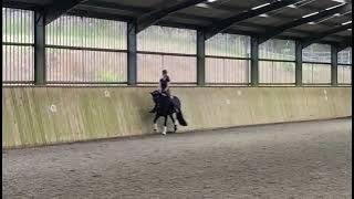 Advert reference - 347221