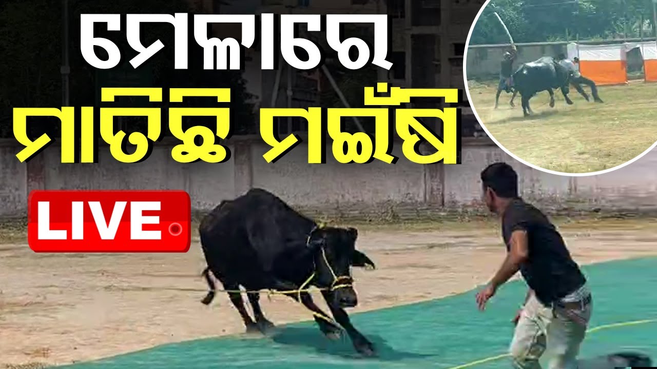LIVE | ମେଳାରେ ମାତିଛି ମଇଷି ! | Breaking News | Khordha