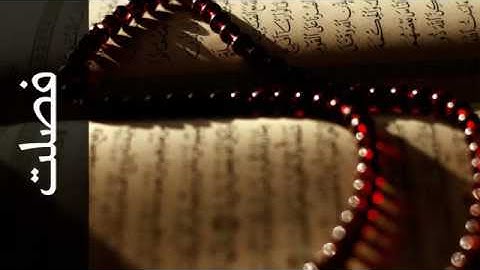 041 سورة فصلت ناصر القطامي   Surah Fussilat Nasser Alqatami