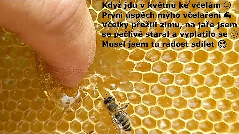 Jaký je průběh chemické reakce?