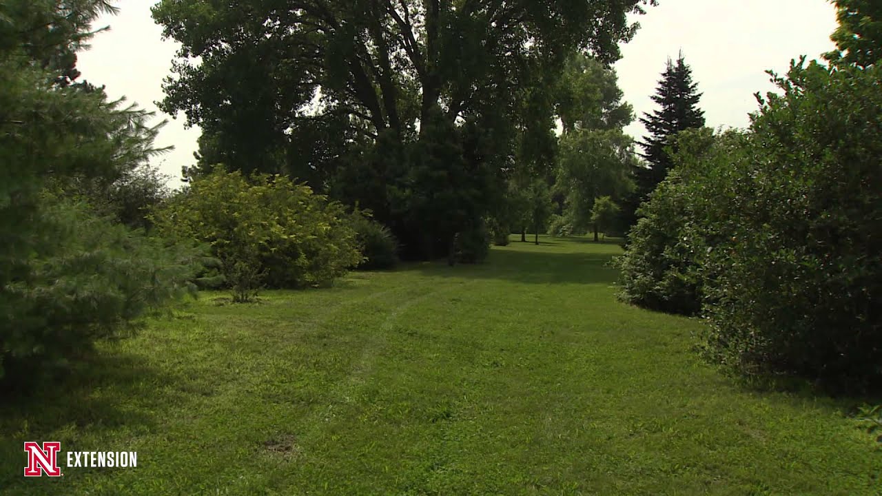 Gilman Park and Arboretum YouTube