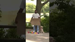 Dog Gives Out Flowers To Brighten People’s Day