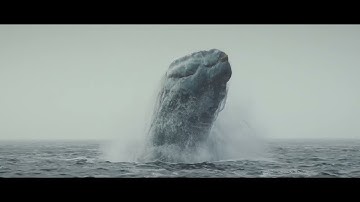 Large Scale Water Fx  - Flip simulation