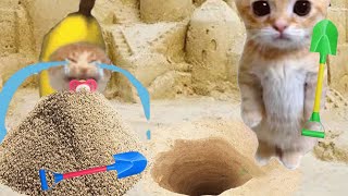 BANANA CAT 🍌🐱 BAD LUCK 😿 VIDEOS 26 ( 2 MINUTES )
