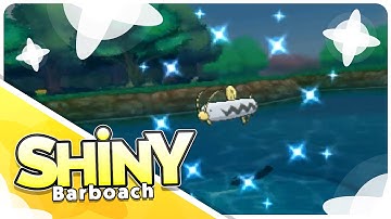 [Live] Shiny Barboach on a 21 Fish Chain!