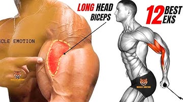 12 BEST LONG HEAD BICEPS WORKOUT AT GYM / BICEPS PEAK