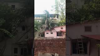 #Raining in sawarde ⛈️⛈️🌦️🌧️          #Raining #please_subscribe_my_channel