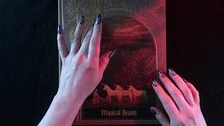 ASMR Enchanted World ⭐ Book Reading and Page Flipping for SLEEP 💤🌙 screenshot 5