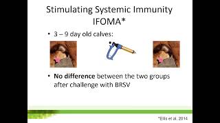 How to use nasal vaccines effectively