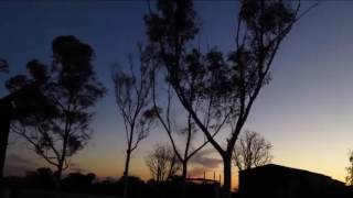 The little gumtree on the right @ Yunda Outstation Western Australia Outback (Musica Gumtree)