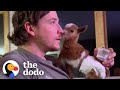 Tiny Baby Goat Snuggles On Sofa With Her Dog Siblings | The Dodo