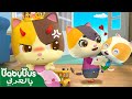 لا تغر من أخيك وأختك أغاني العادات الجيدة أغاني عائلة القطط بيبي باص BabyBus Arabic 