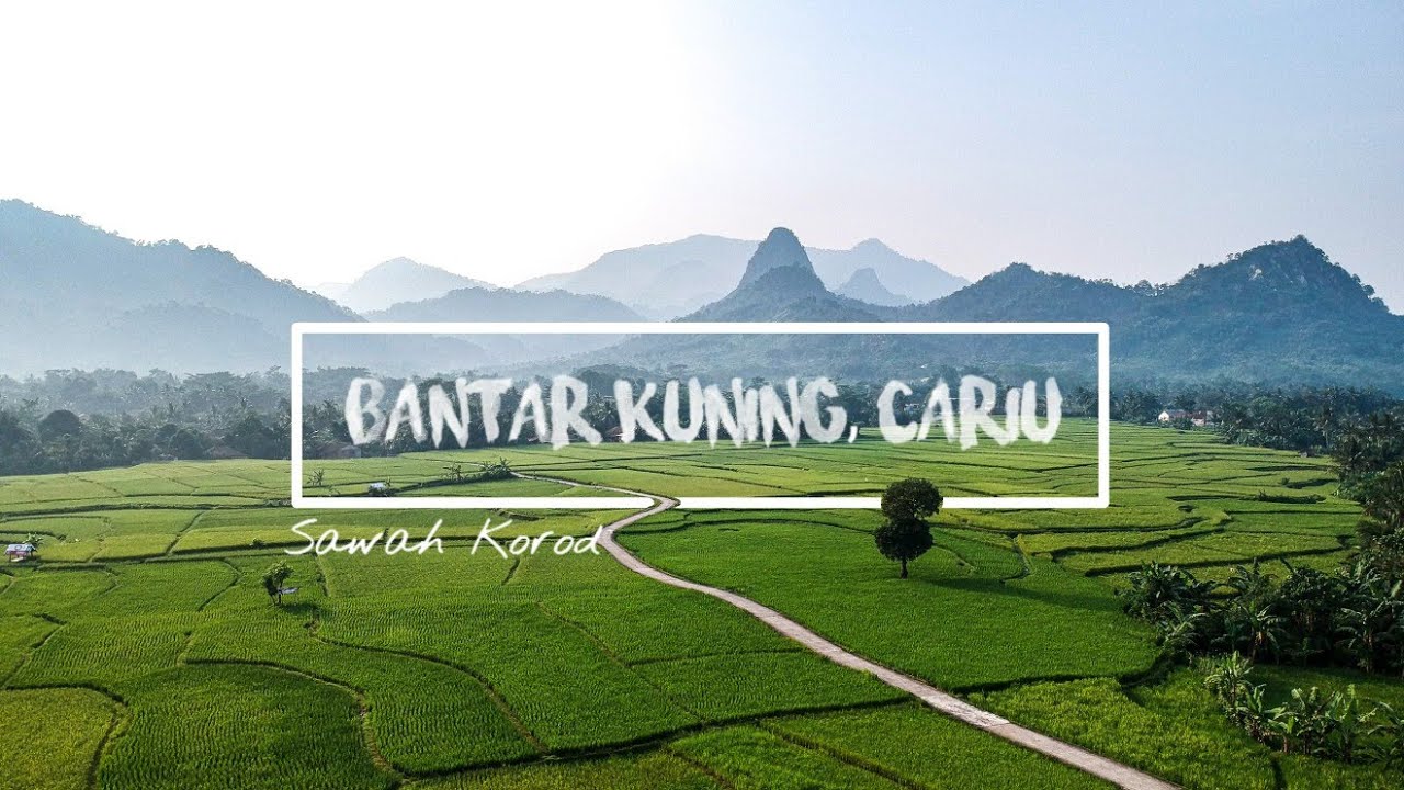 Persawahan Bantar Kuning, Cariu I Sawah Korod I Explore Bogor I
