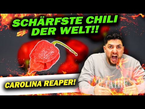 Erraten SONST Carolina Reaper essen ⎮ Challenge sein Vater